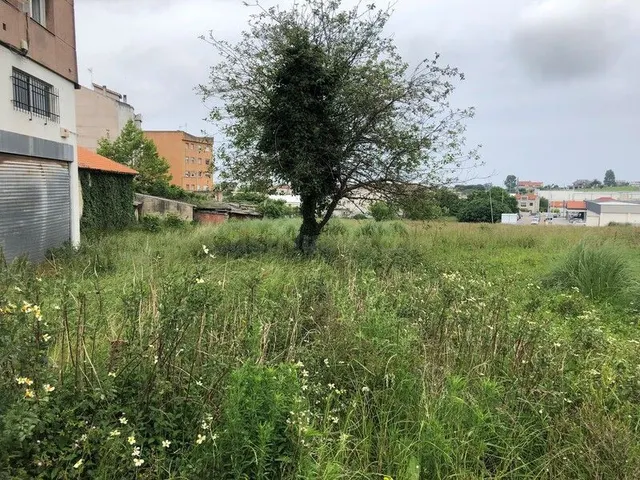Piso 579m² en venta - Alisal - Cazoña - San Román - foto 3