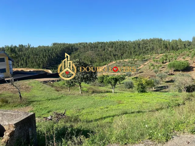 Parcela en venta - Aldeia do Mato e Souto - foto 5