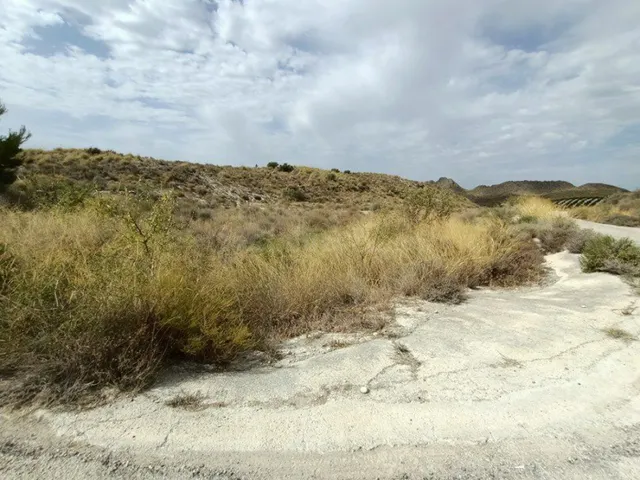 SE VENDE PARCELA SECANO EN EL FENAZAR