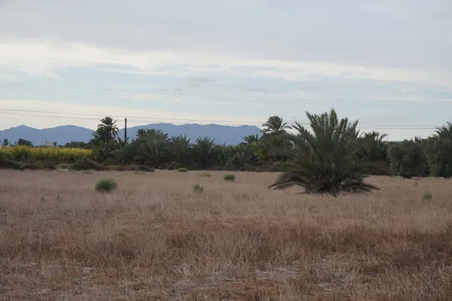 AMPLIA PARCELA DE 13000 M2 ZONA DE LA HOYA — 2