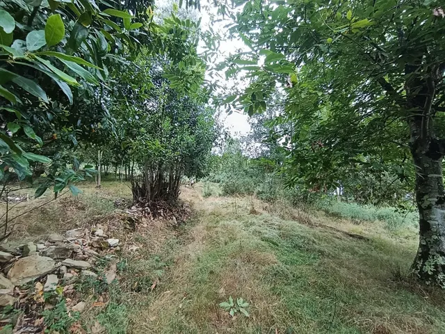 Finca rústica 40m² en venta - Northern spain — 12