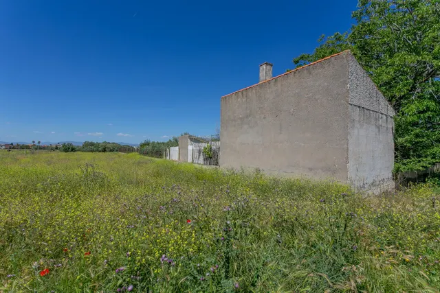 "¡Vive la vida en el campo! Terreno con casa de aperos y cultivos de olivos y frutales en ve — 30
