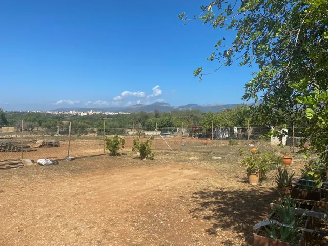 FINCA RÚSTICA 'PUIG SANTA MAGDALENA' — 34