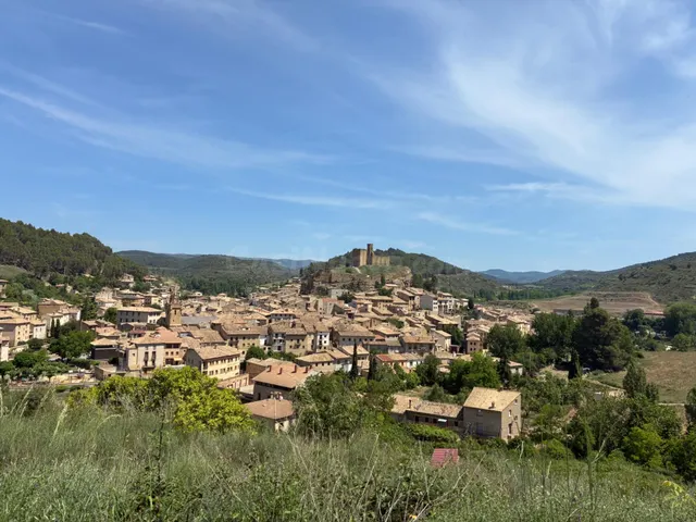 PARCELA URBANA EN VENTA EN UNCASTILLO - 17.700 M2 - foto 3