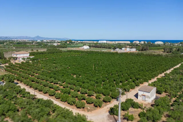 Villa 470m² en venta - El Palmar-Los Molinos — 19