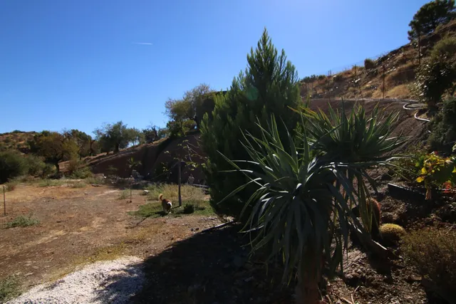 Finca rural con proyecto turístico en Tolox (Málaga) - 6.000 m² — 15