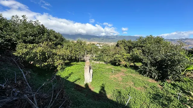 OPORTUNIDAD ÚNICA: GRAN FINCA DE 31.000 M2, secciones URBANA, RÚSTICA, ASENTAMIENTO RURAL Y AGRÍCOLA — 29