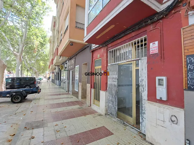 LOCAL COMERCIAL EN ALQUILER BIEN SITUADO EN LA ALAMEDA — 2