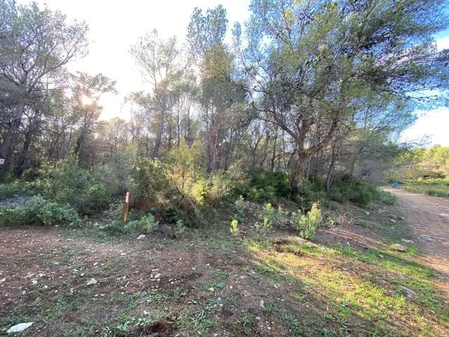 OPORTUNIDAD ENORME TERRENO EN VENTA POR 150.000€ — 30