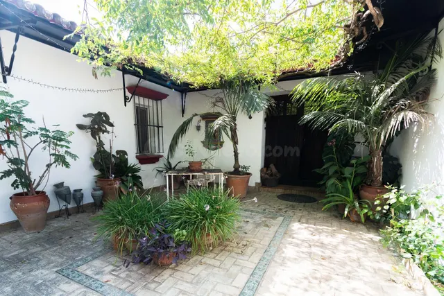 Oportunidad en Montealegre — 5