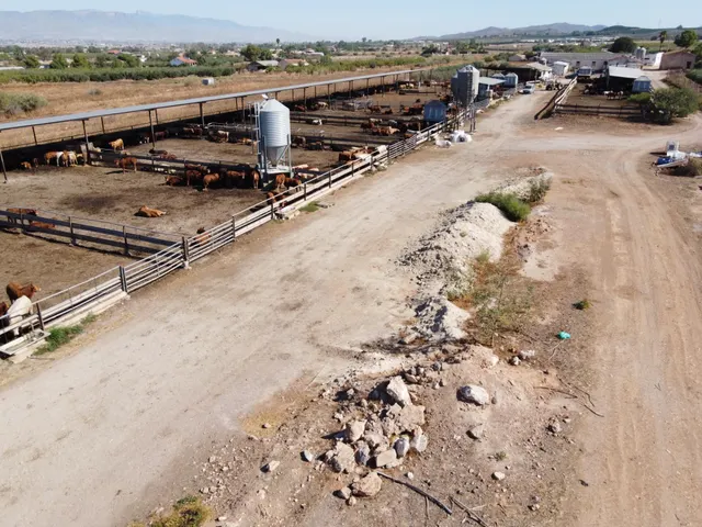 Gran explotación ganadera en lorca: capacidad para 760 cabezas y finca agrícola en producción — 14