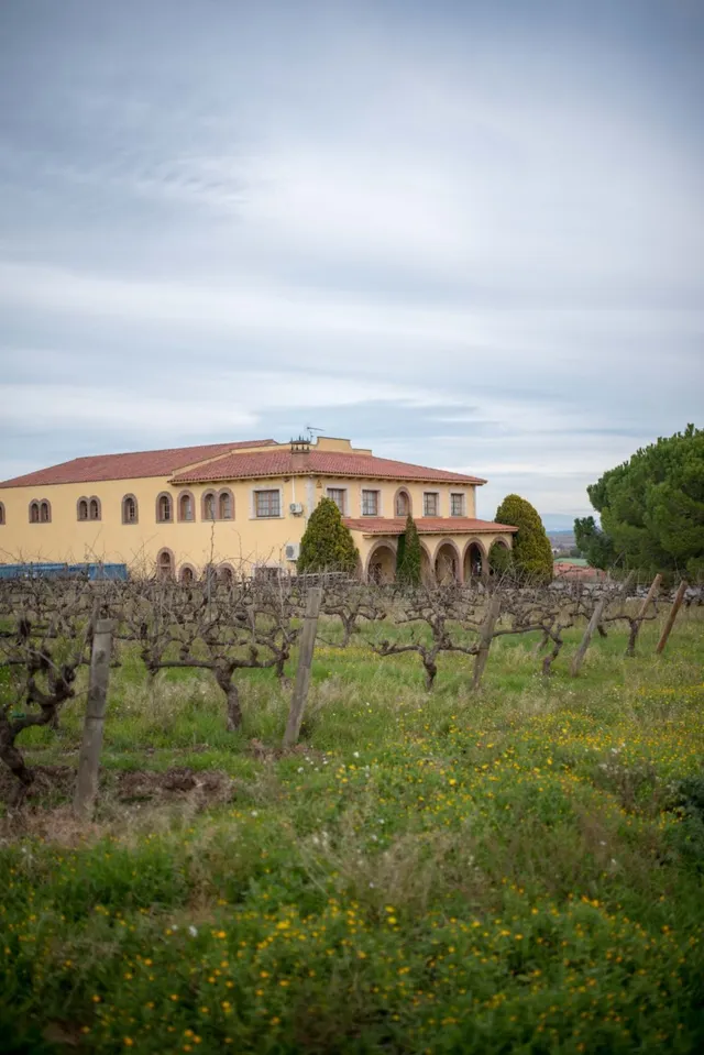 En venta Bodega en el Penedès. — 15