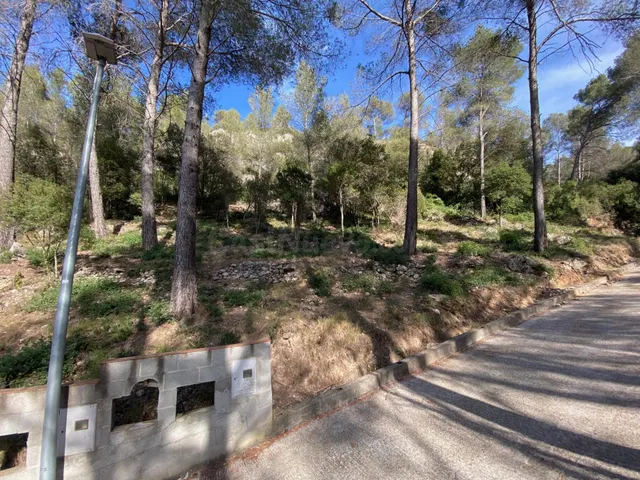 Venta de Terreno en plena naturaleza en Corbera de LLobregat