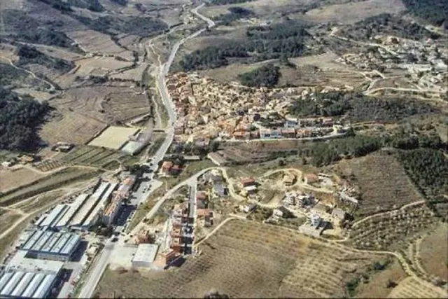 TERRENO RÚSTICO DE SECANO DE AVELLANOS - RIUDECOLS — 18