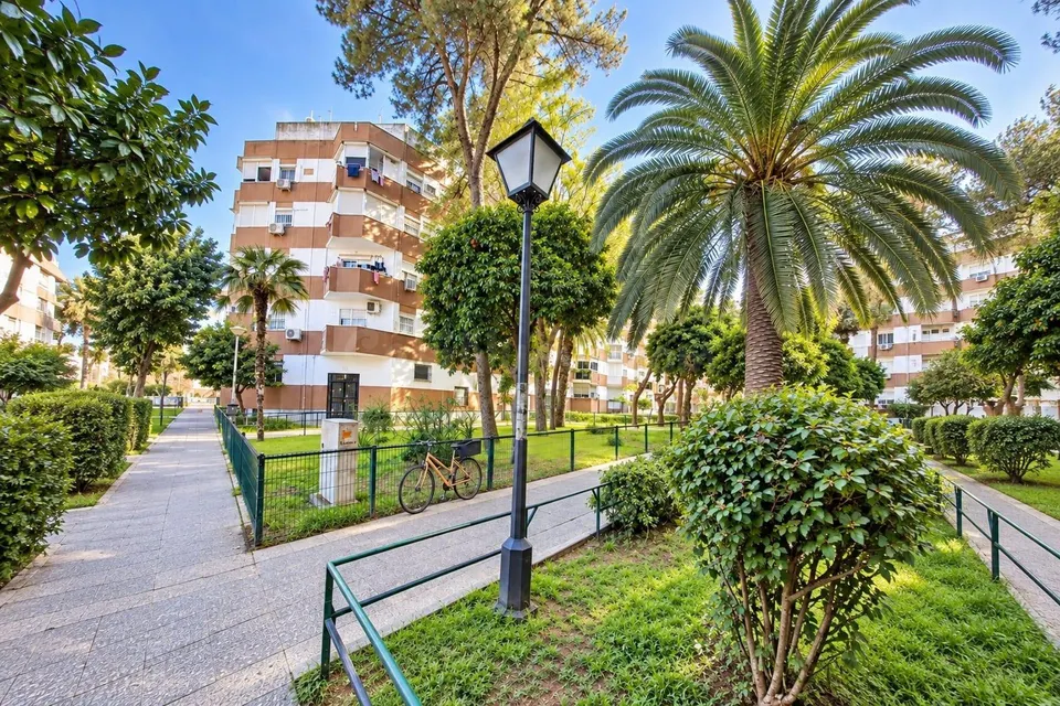 PISO DE 3 DORMITORIOS CON TERRAZA EN LA OLIVA