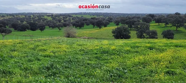 CASA DE CAMPO EN EL VISO DE LOS PEDROCHES — 5