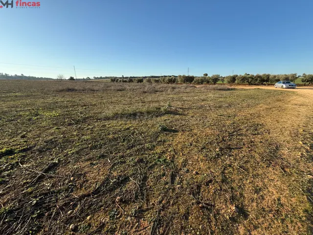 Inversión Destacada en Carmona, Sevilla 16.000Mt rústicos - foto 2