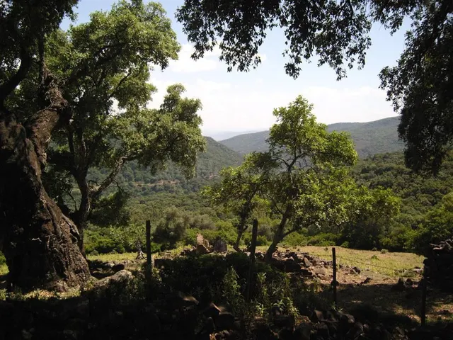 Parcela en venta - El colmenar cortes de la frontera — 5