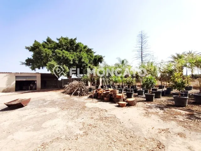 Fantástica casa de campo con parcela en la zona del campo de Elche, Alicante, Costa Blanca — 9