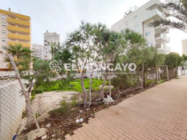 Fantástico solar edificable junto al Sup7 en Guardamar del S - foto 4
