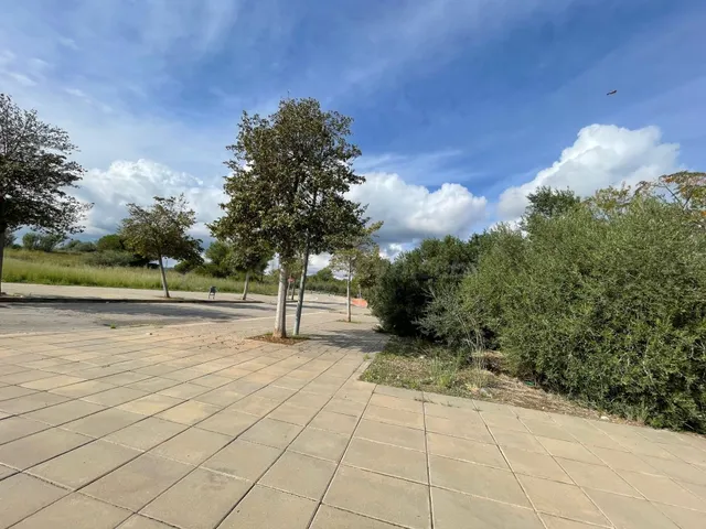 SUELO URBANO EN ALCANAR ( LES CASES D'ALCANAR) - foto 4