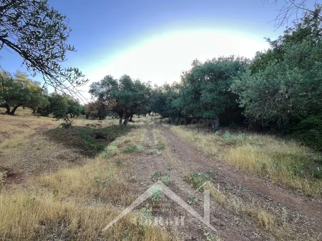 Suelo rústico en Venta en Constantina Sevilla — 8