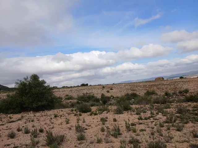 Parcela en venta - Yecla — 8