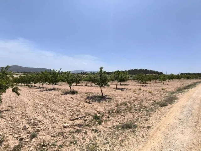 Parcela edificable Úbeda: 17.050 m² con huerto y vistas a la - foto 2