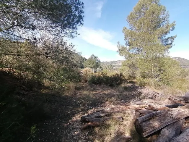 FINCA RUSTICA EN BORRIOL