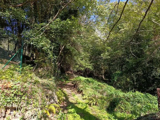 Terreno urbano en venta - Trubia — 49