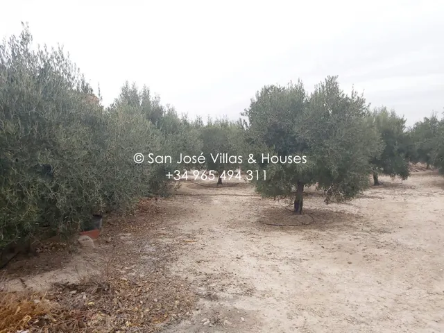 SE VENDE CASA DE CAMPO DIAFANA MUY CERCA DE ASPE — 11