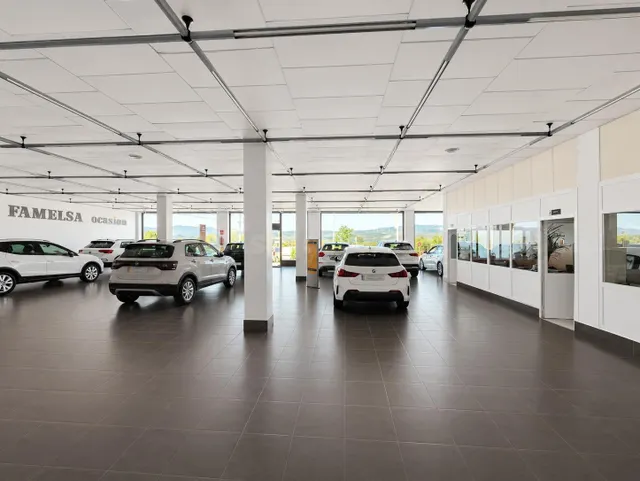 Auto Famelsa: Oportunidad de Inversión - foto 5