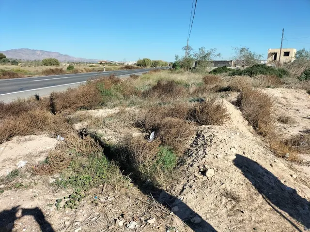 TERRENO CON FACHADA A CTRA. NACIONAL 340 EN TÉRMINO DE COX — 4