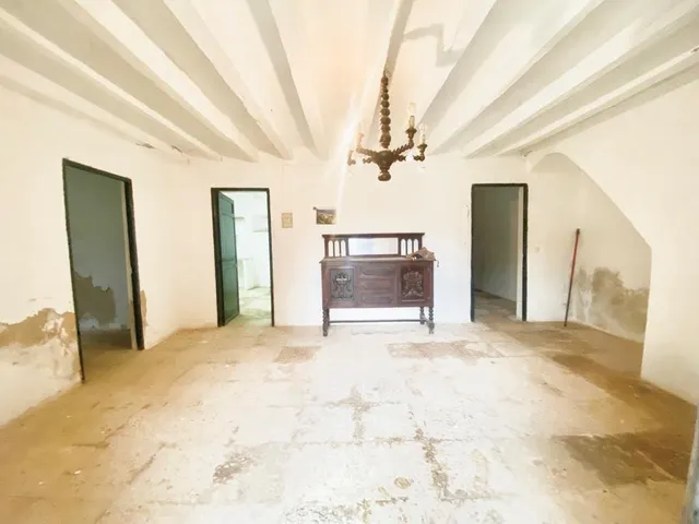 Finca rústica con caseta y 6000m2 para tus proyectos de campo — 12