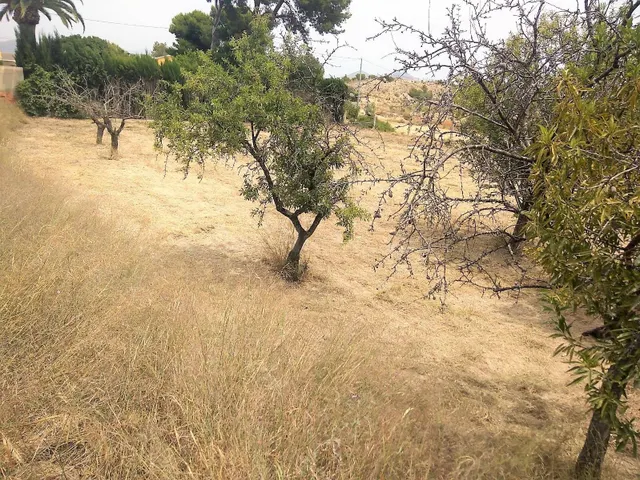 Oportunidad: Terreno Rústico de 1.122 m2 con Garaje en Santa - foto 4