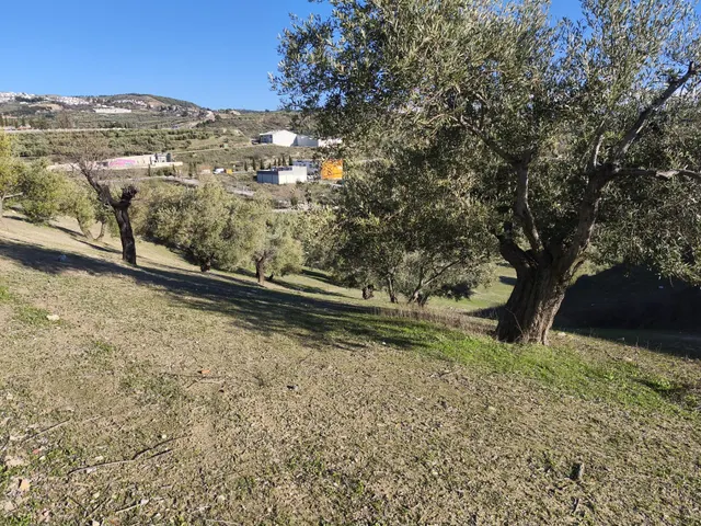 Terreno rural en venta - Sierra de huetor y la alfaguara — 9