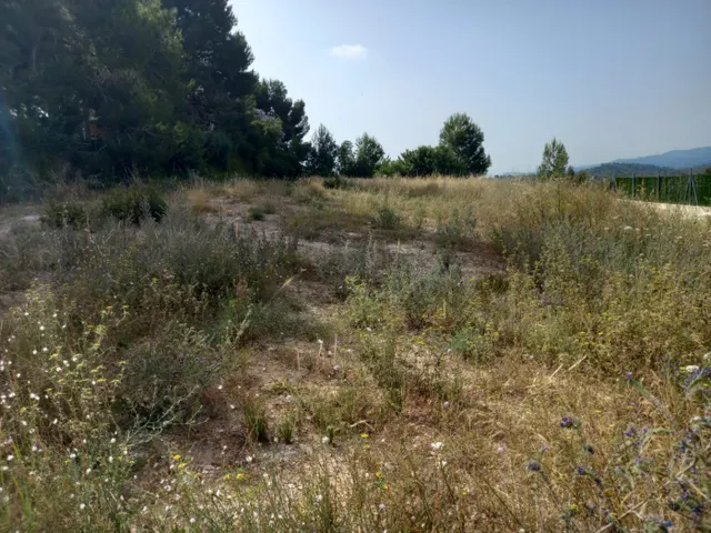 TERRENO URBANO  DE 1521 M2 EN VIRGEN DE MONSERRAT — 14