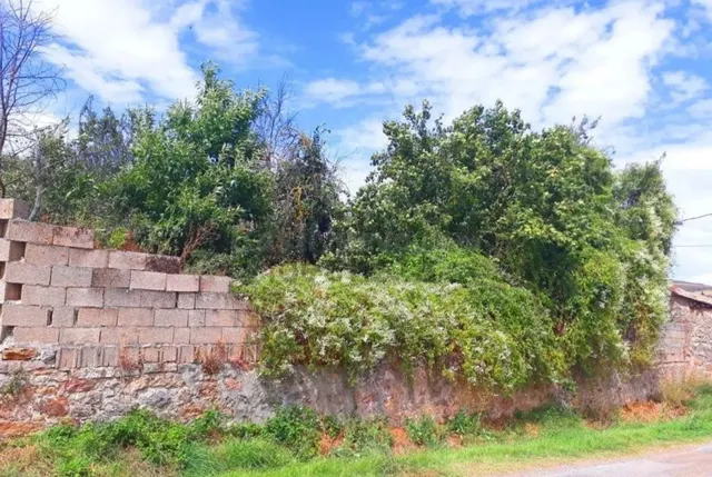 Finca rústica 5 habitaciones 300m² en venta - Northern spain - foto 3