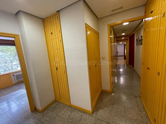Despacho 268m² en alquiler - Paseo Zorrilla - foto 5