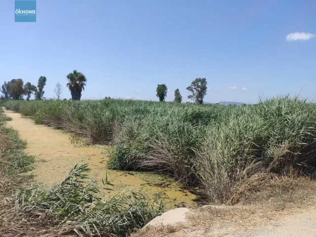Terreno Rústico 11000m² en venta - Playa almarda - foto 3