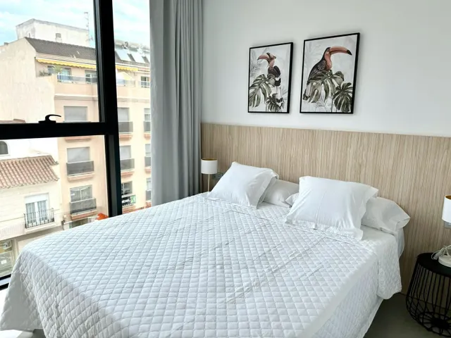 APARTAMENTOS EN VENTA EN PLENA CALLE MAYOR DE PILAR DE LA HO - foto 3