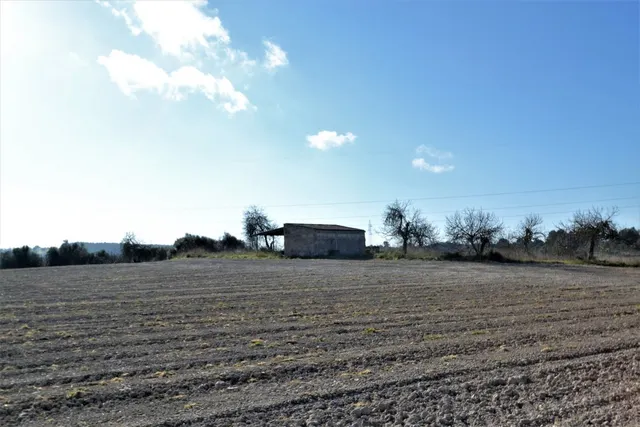 Terreno edificable en Llubi. - foto 4
