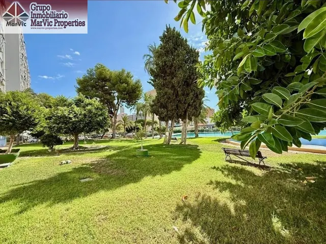 Acogedor Apartamento Reformado en Benidorm con Piscina y Vistas al Sureste — 9