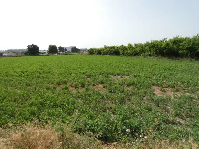 ++Terreno no urbano en Alguazas zona El Paraje++, 1513 m — 2