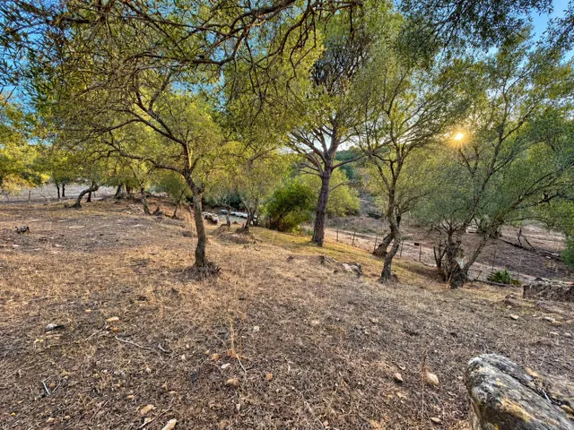 Finca rústica de 18.444 m2 con pozo y construcción catastrada en Alcalá de los Gazule — 38