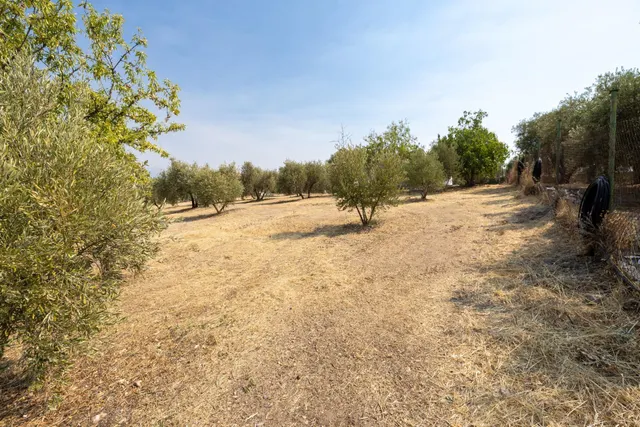 Encanto rústico con casita y olivos en Moraleja de Zafayona — 30