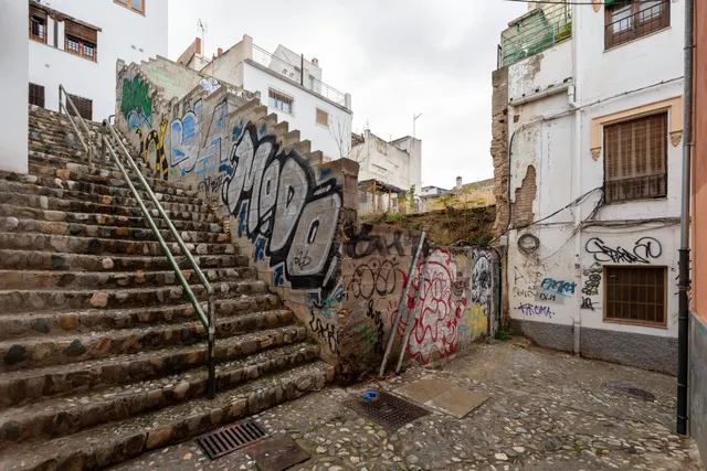 SE VENDE TERRENO URBANO PLURIFAMILIAR ZONA REAL DE CARTUJA Y JARDINES DEL TRIUNFO — 10