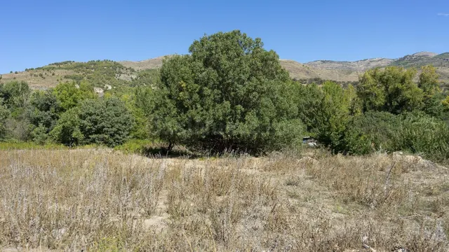Exclusiva Finca en venta Fondón. ¡Con permiso de construcció - foto 2