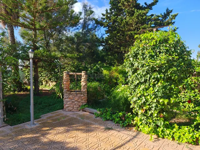 Finca Rústica con Chalet y Piscina en La Palma, Cartagena — 3