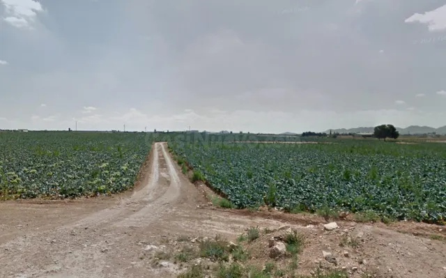 Finca rústica de 6,7 hectáreas en Paraje Los Gálvez, Fuente  - foto 4